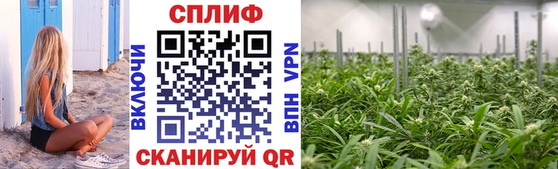 Каннабис ГИДРОПОН Нальчик